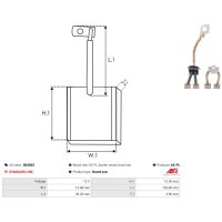 AS-PL SB3003 Kohlebürste, Starter