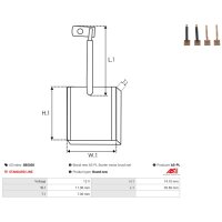 AS-PL SB5028 Kohlebürste, Starter