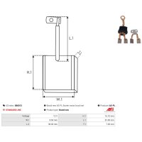 AS-PL SB6012 Kohlebürste, Starter