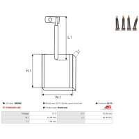 AS-PL SB9006 Kohlebürste, Starter