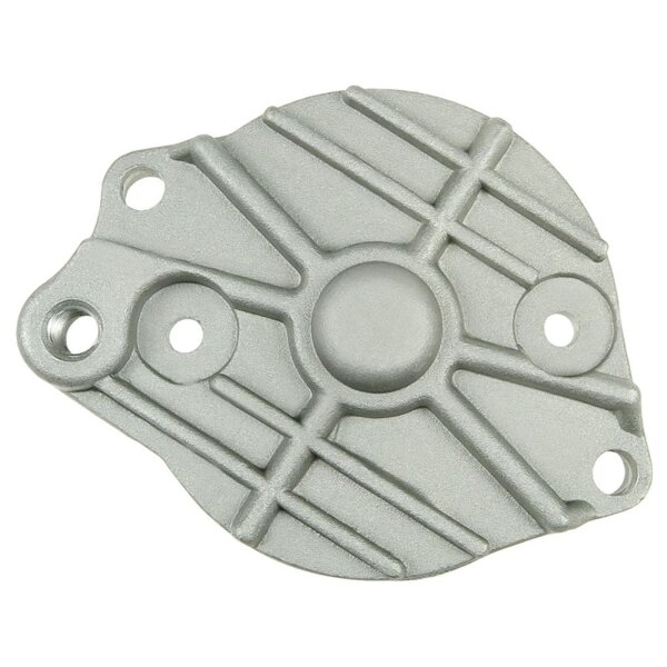 AS-PL SBR9006 Starterdeckel, Vergaser