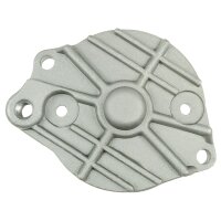 AS-PL SBR9006 Starterdeckel, Vergaser