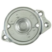 AS-PL SBR9006 Starterdeckel, Vergaser