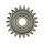 AS-PL SD5046 Freilaufgetriebe, Starter