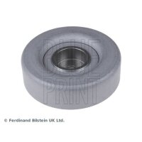 BLUE PRINT ADC496502 Umlenk-/Führungsrolle,...