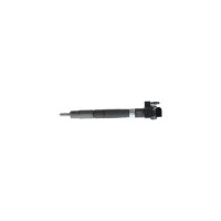 Einspritzdüse BOSCH 0 445 116 034 - 1 Stück