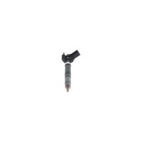 Einspritzdüse BOSCH 0 445 116 034 - 1 Stück