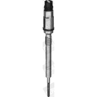 BorgWarner (BERU) PSG003 Glühkerze