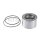 SNR R141.85 Radlagersatz