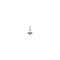 BOSCH 1 987 301 108 Glühlampe, Fernscheinwerfer