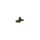 BOSCH 0 232 103 099 Sensor, Nockenwellenposition