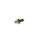 BOSCH 0 281 006 035 Sensor, Kraftstoffdruck