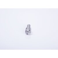 BOSCH 0 433 171 169 Einspritzdüse