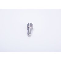 BOSCH 0 433 171 169 Einspritzdüse