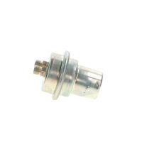 BOSCH 0 438 170 015 Druckspeicher, Kraftstoffdruck