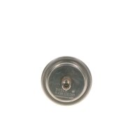 BOSCH 0 438 170 055 Druckspeicher, Kraftstoffdruck