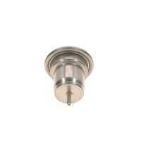 BOSCH 0 438 170 055 Druckspeicher, Kraftstoffdruck
