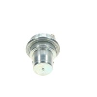 BOSCH 0 438 170 061 Druckspeicher, Kraftstoffdruck