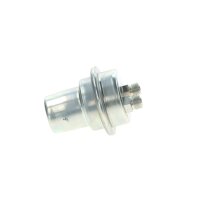 BOSCH 0 438 170 061 Druckspeicher, Kraftstoffdruck
