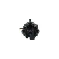 BOSCH 0 445 010 250 Hochdruckpumpe