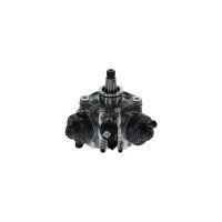 BOSCH 0 445 010 690 Hochdruckpumpe