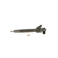 Einspritzdüse BOSCH 0 445 110 054 - 1 Stück