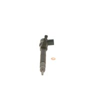 Einspritzdüse BOSCH 0 445 110 054 - 1 Stück