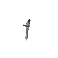 BOSCH 0 445 110 257 Einspritzdüse