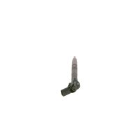 BOSCH 0 445 116 022 Einspritzdüse