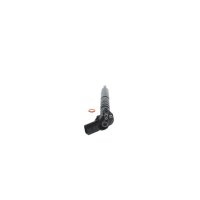 BOSCH 0 445 116 027 Einspritzdüse