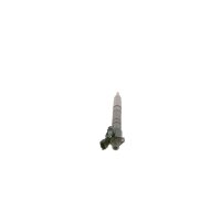 BOSCH 0 445 116 045 Einspritzdüse