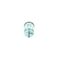 BOSCH 0 450 905 976 Kraftstofffilter