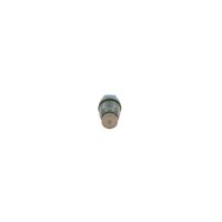 BOSCH 1 110 010 028 Druckbegrenzungsventil, Common-Rail-System