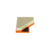 BOSCH 1 457 433 100 Luftfilter