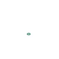 BOSCH 1 928 301 181 Gummiring
