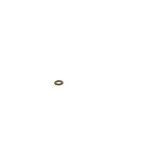 BOSCH 1 928 301 304 Gummiring