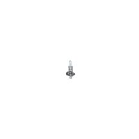 BOSCH 1 987 301 051 Glühlampe, Fernscheinwerfer