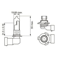 BOSCH 1 987 301 062 Glühlampe, Fernscheinwerfer