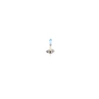 BOSCH 1 987 302 015 Glühlampe, Fernscheinwerfer