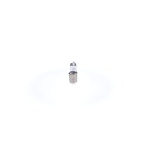 BOSCH 1 987 302 233 Glühlampe