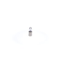 BOSCH 1 987 302 233 Glühlampe