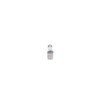 BOSCH 1 987 302 233 Glühlampe