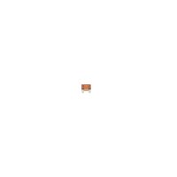 BOSCH 1 987 529 029 Sicherung