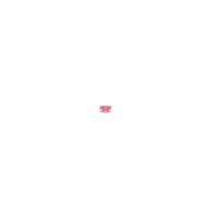BOSCH 1 987 529 043 Sicherung