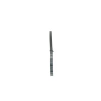 BOSCH 1 987 946 109 Keilrippenriemen