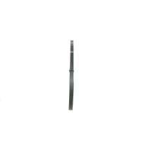 BOSCH 1 987 946 127 Keilrippenriemen