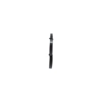 BOSCH 1 987 946 230 Keilrippenriemen