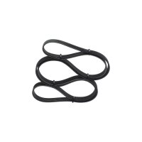 BOSCH 1 987 947 579 Keilrippenriemen