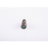 BOSCH F 00N 201 320 Ventil, Einspritzanlage