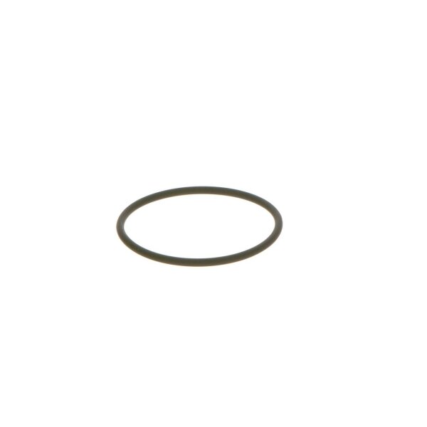 BOSCH F 00N 202 130 Gummiring